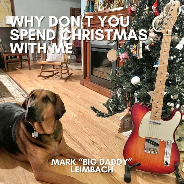 Cover art for Why Don't You Spend Christmas with Me